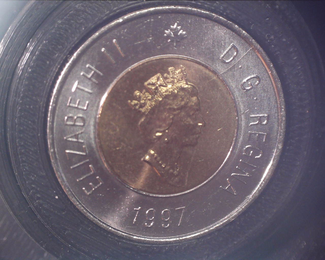 211031151951504.jpg