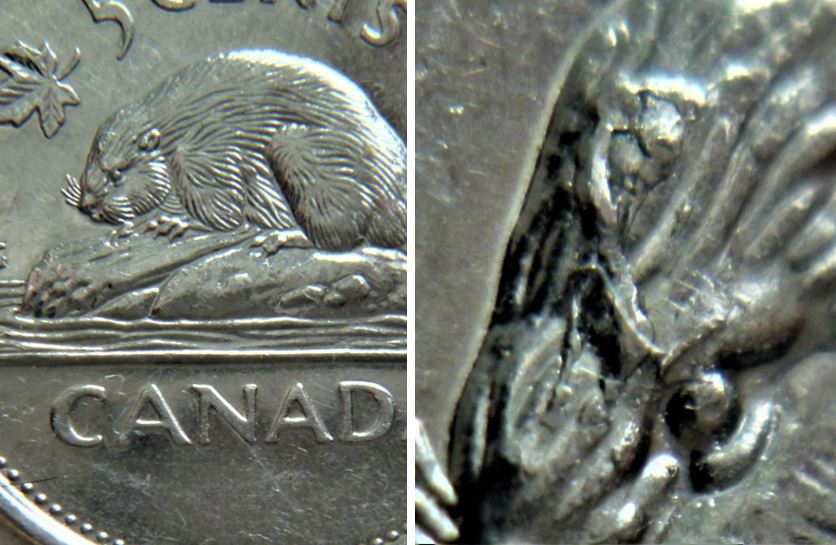 5 Cents 2002-Accumulation sur le frond du castor.1.JPG