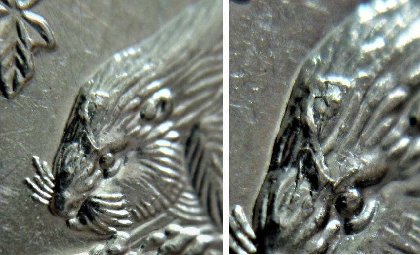 5 Cents 2002-Accumulation sur le frond du castor.2.JPG