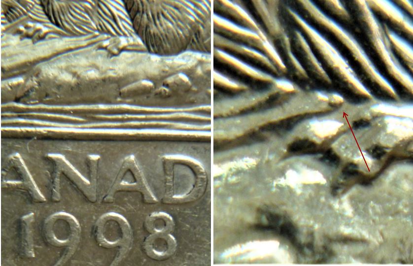 5 Cents 1998-Morceau de bois extra sous le ventre du castor-2.JPG