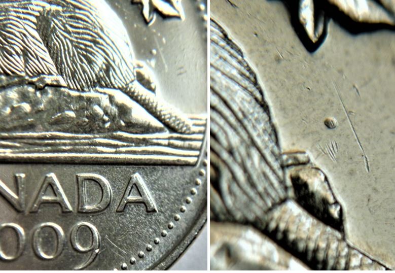 5 Cents 2009-Point derrière la buche-1.JPG