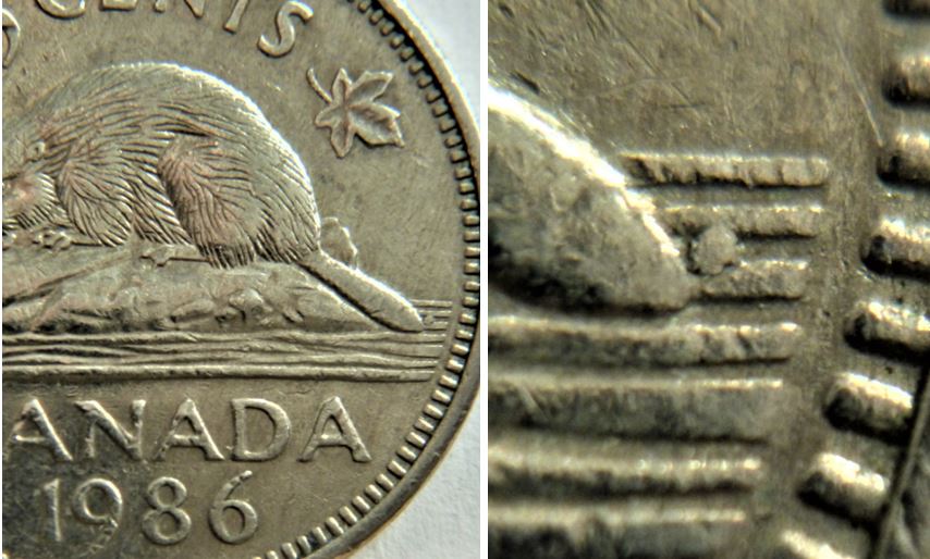 5 Cents 1986-Éclat du coin au dessus du bout de la queue castor-1.JPG