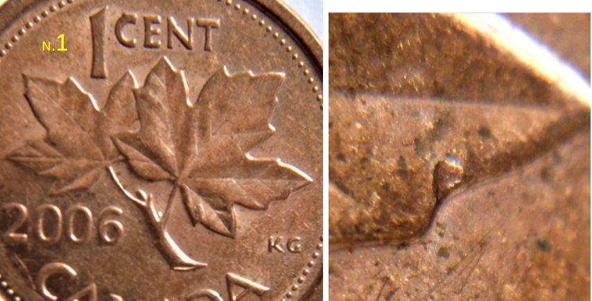 1 Cent 2006-Éclat coin sur feuille droite-1.JPG