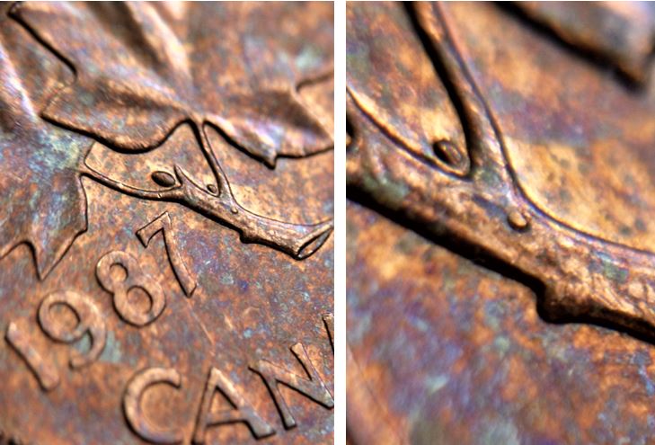 1 Cent 1987-Bourgeon extra-Éclat coin sur la branche-1.JPG