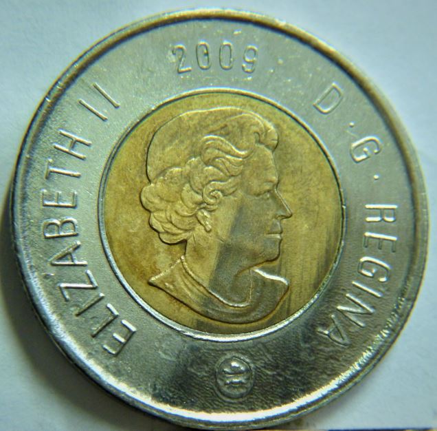 2 Dollar 2009-Le logo a fait une belle glissade-1.JPG