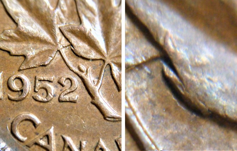 1 Cent 1952-Éclat coin sous feuille gauche,1.JPG