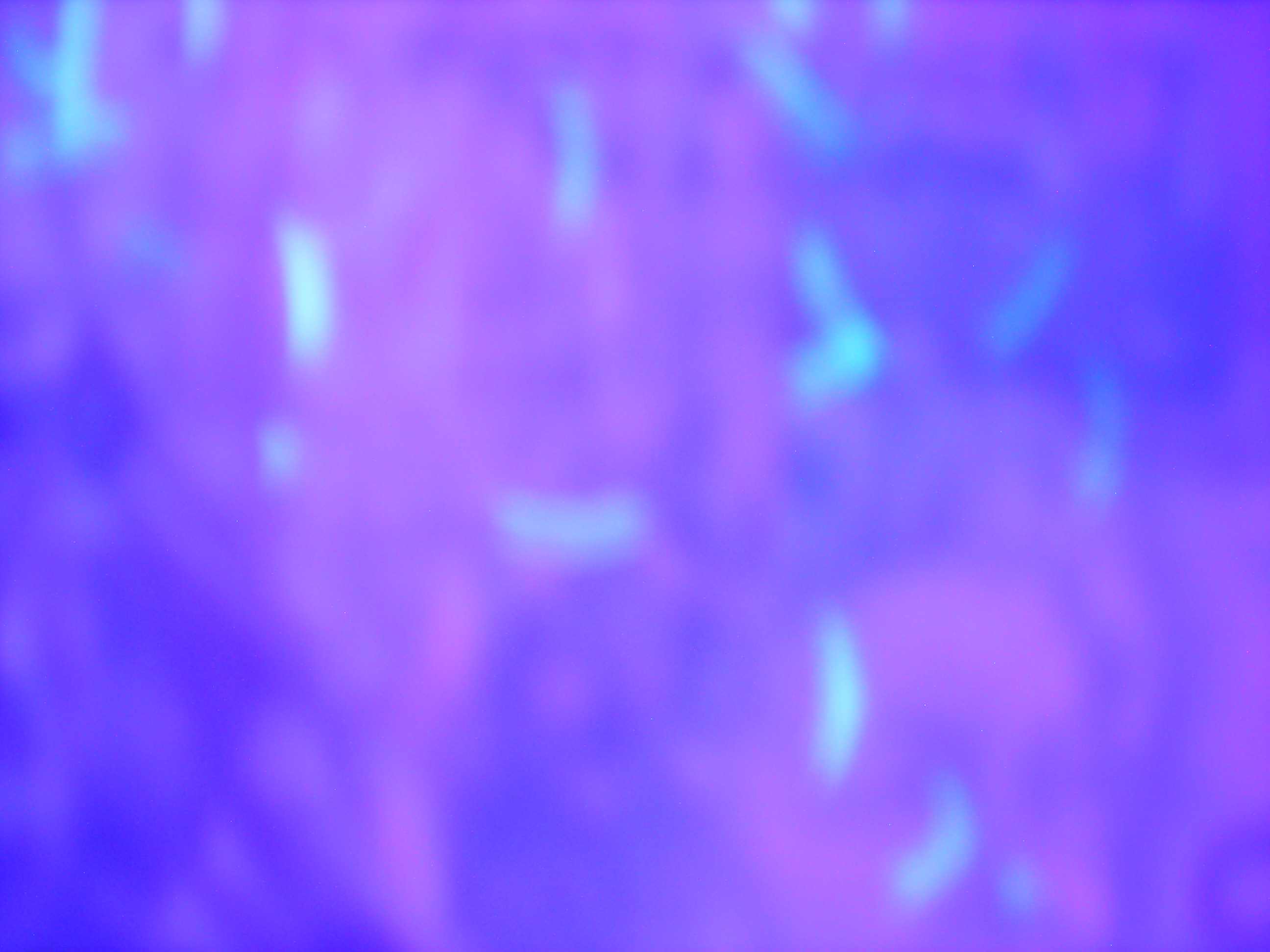 DSCN8616.JPG