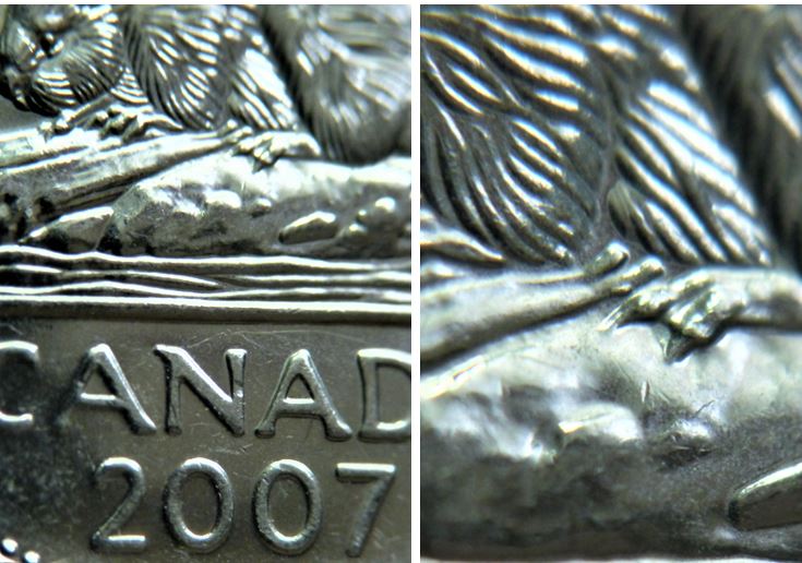 5 Cents 2007-Éclat du coin au dessus de la patte arrière-1.JPG