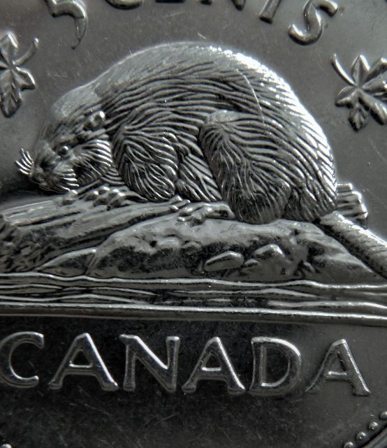 5 Cents 2002p-Grosse griffe éclat coin +dos du castor fendillé.1.JPG