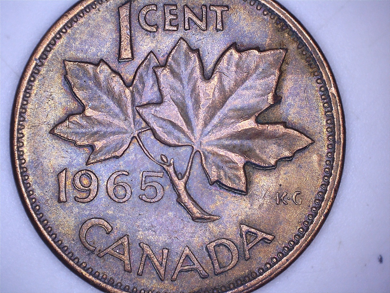 1965 decal 1.jpg