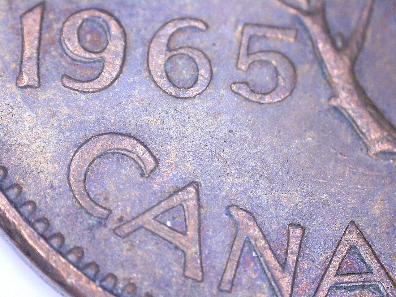 1965 decal 4.jpg