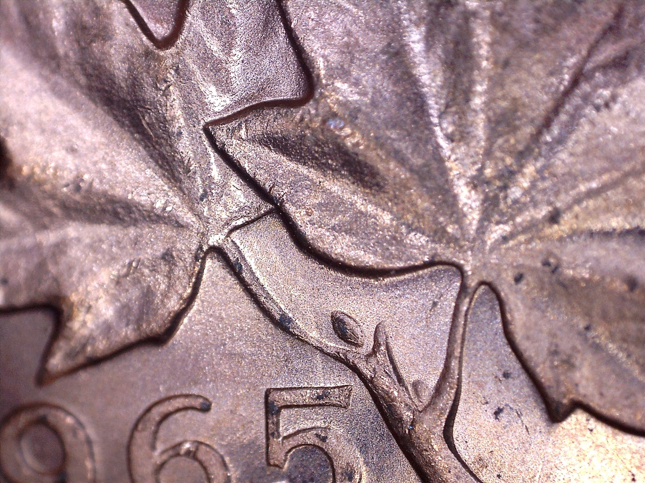 1965 ce 3.jpg