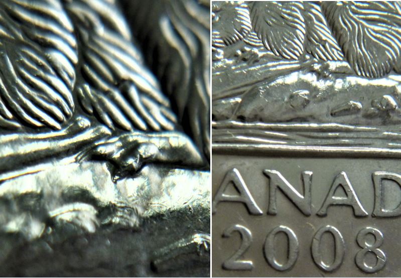 5 Cents 2008-Double griffes patte arrière -1.JPG