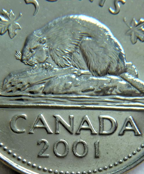 5 Cents 2001-Éclat coin original sur N de regiNa,1.JPG