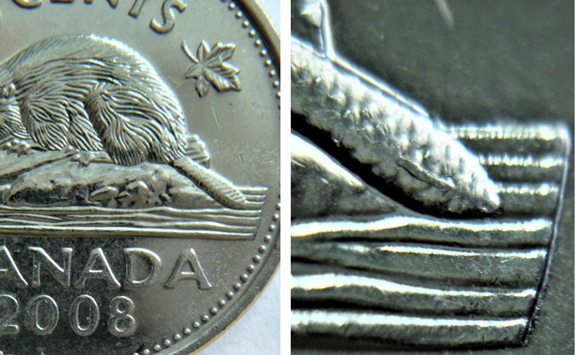 5 Cents 2008-Coin fendillé sur la queue du castor,1.JPG
