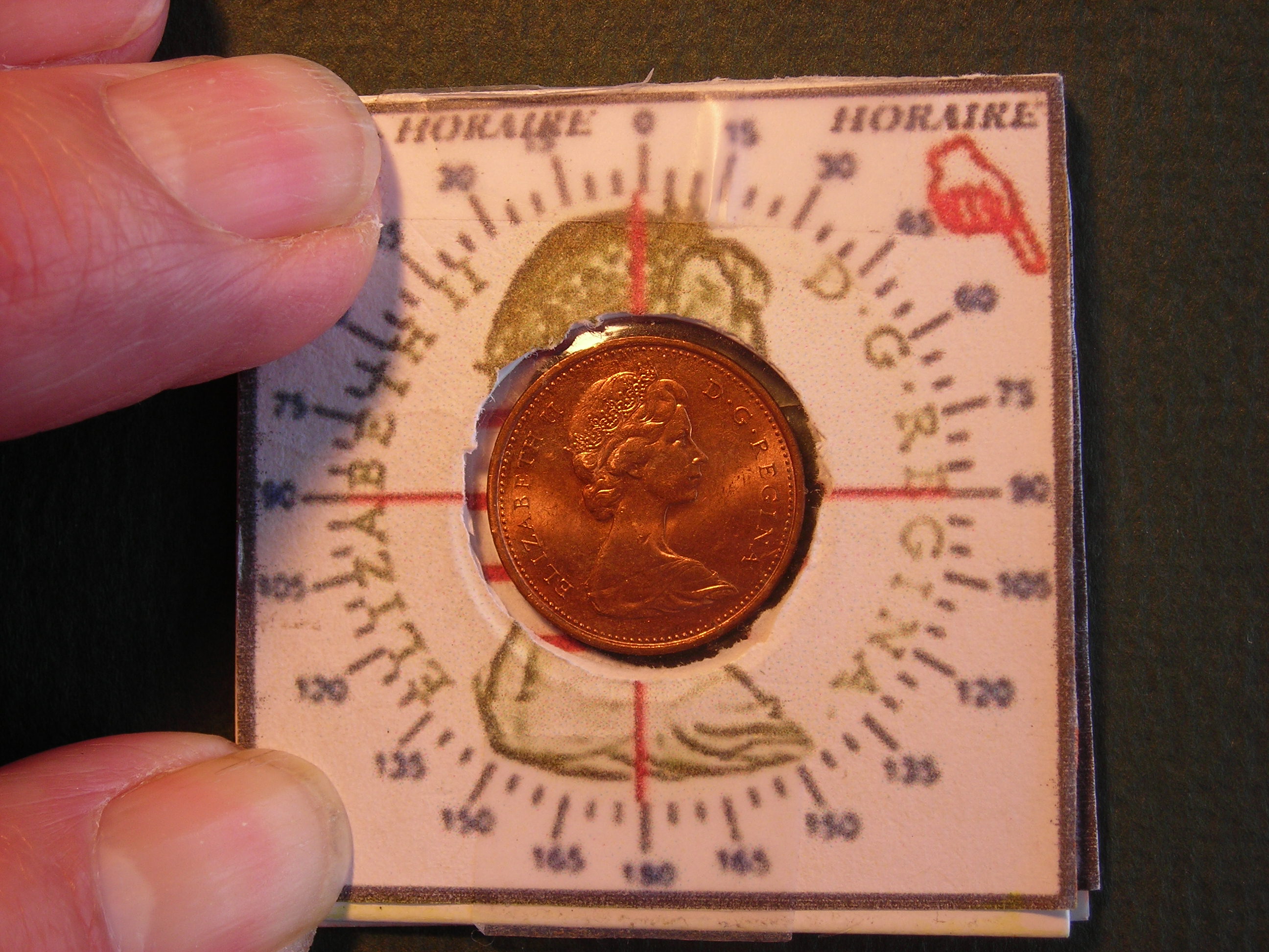 DSCN8679.JPG