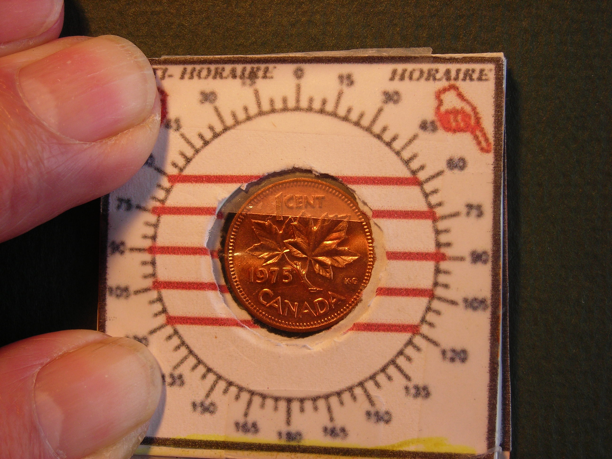 DSCN8680.JPG