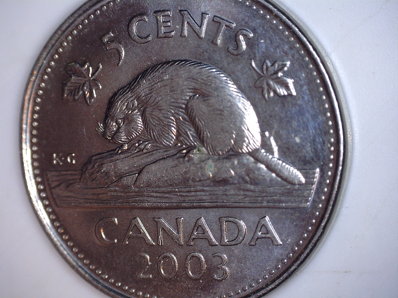 2003 5 cents ff4.jpg
