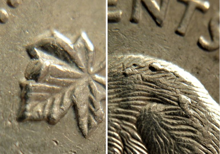 5 Cents 1998-Éclat coin dans lobe feuille gauche,sous le D et sur le dos castor-2.JPG