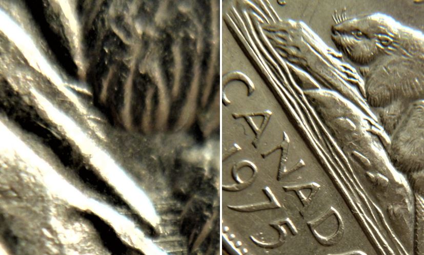 5 Cents 1975-Dommage du coin sous le castor-1.JPG