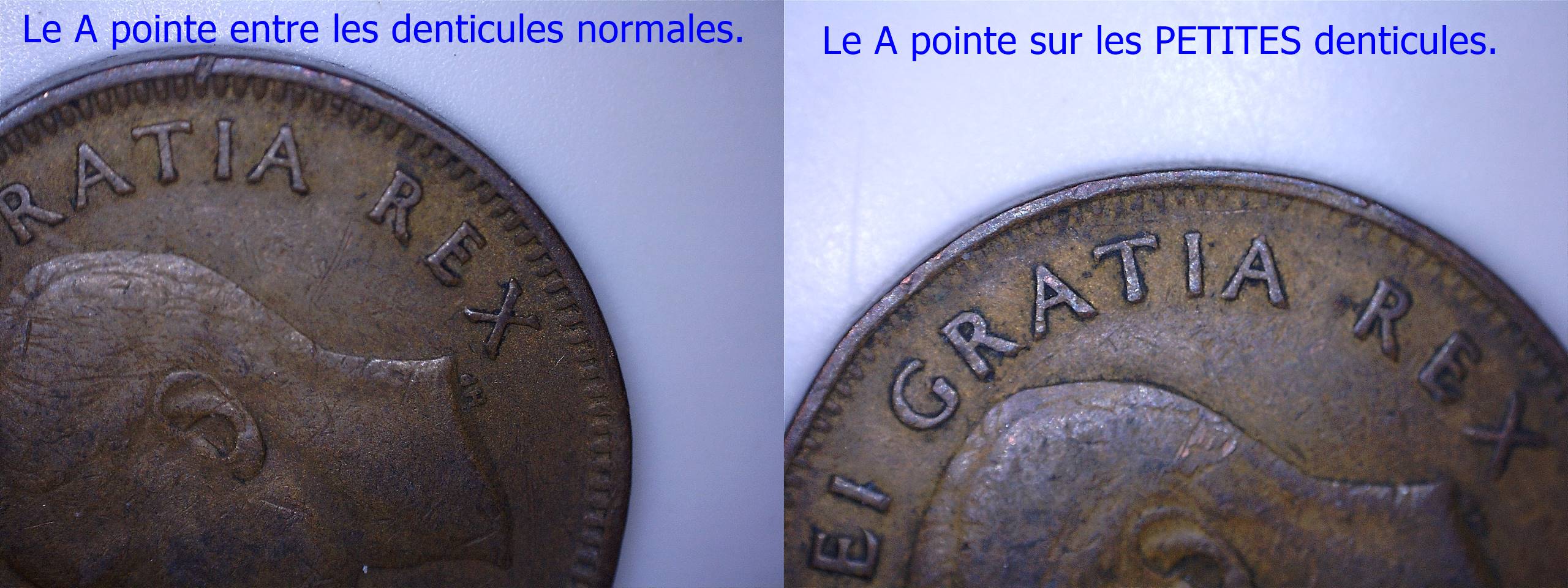 1948 denticules petites et normales.jpg