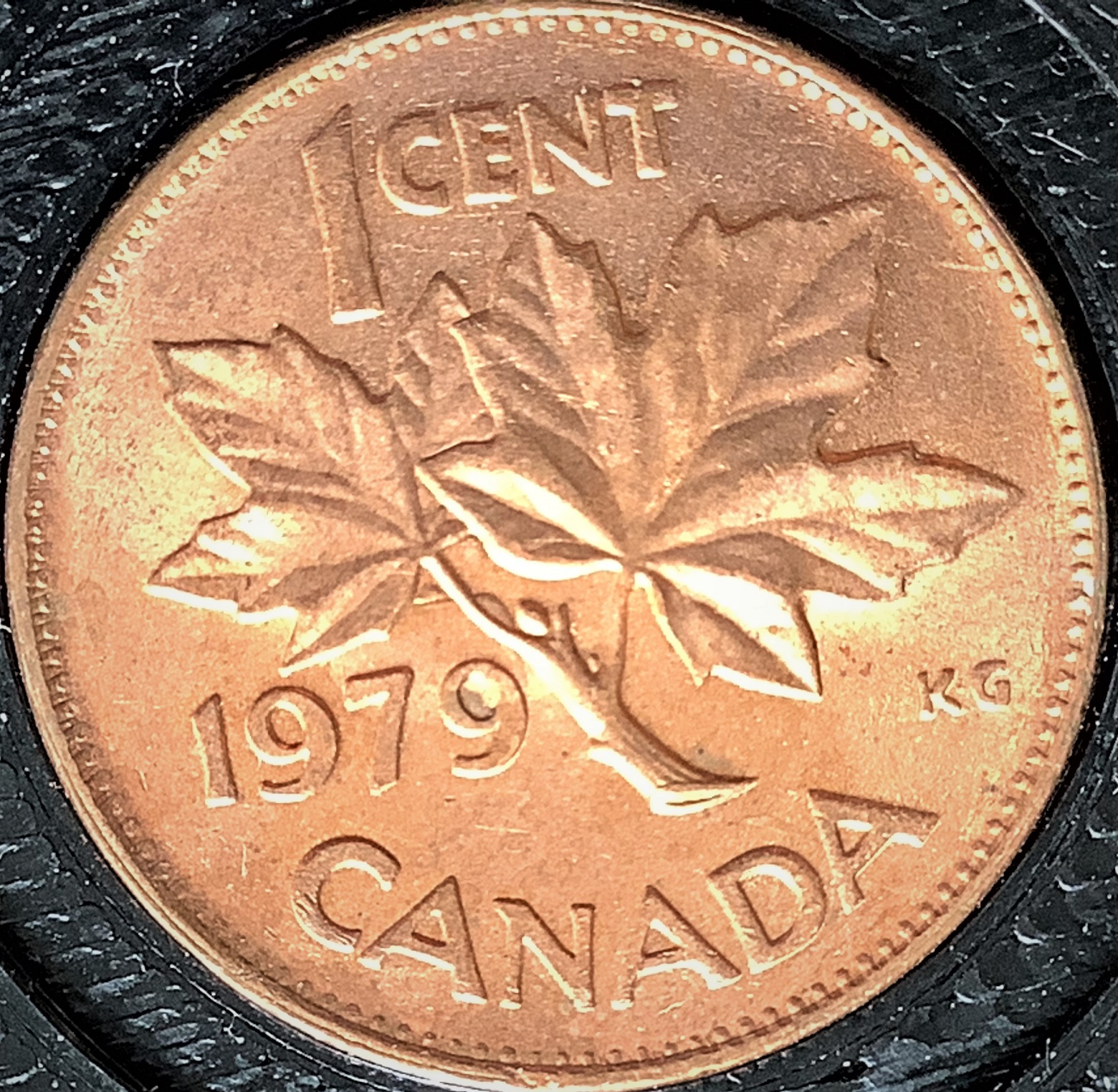 1 cent 1979 hanging 9.jpg