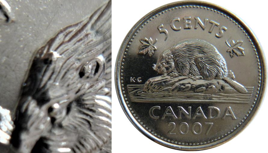 5 Cents 2007-Deux éclat coin à la patte arrière un sur la tête et un sur le dos-1.JPG