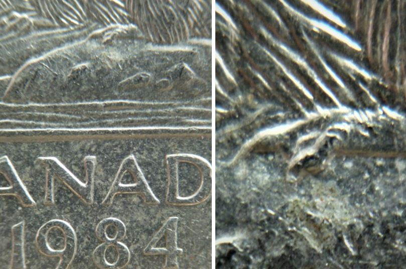 5 Cents 1984-Éclat coin sur la patte arrière du castor-1.JPG