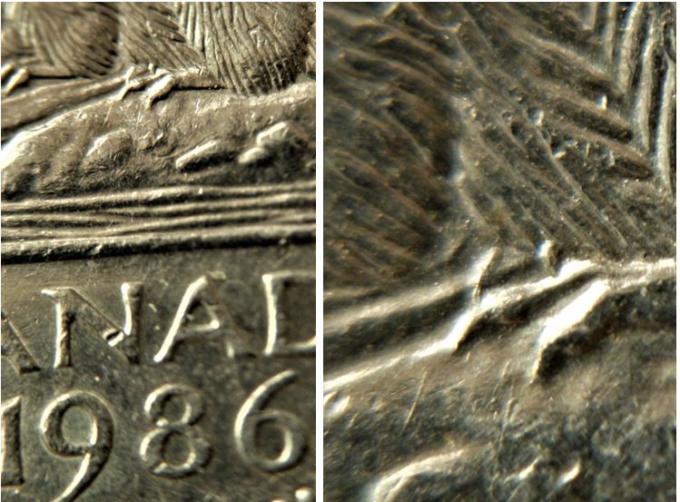 5 Cents 1986-Éclat coin au dessus de la patte arrière-1.JPG