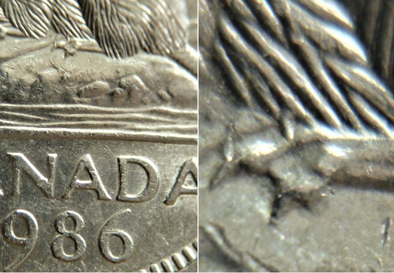 5 Cents 1986-Éclat coin au dessus de la patte arrière-4.JPG