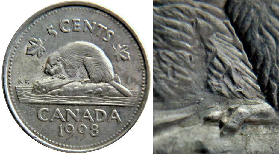 5 Cents 1998-Dépôt de métal sur l'abdomen et au dessus de la patte arrière-1.JPG