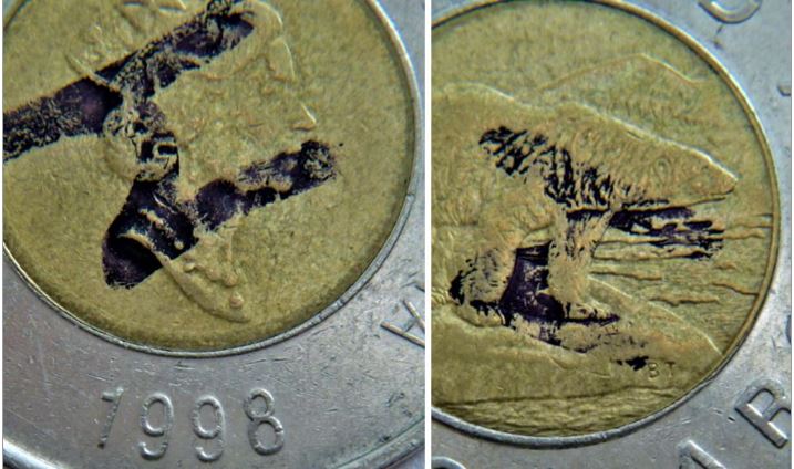 2 Dollar 1998-Éclat du coin devant la bouche de l'ours-1.JPG