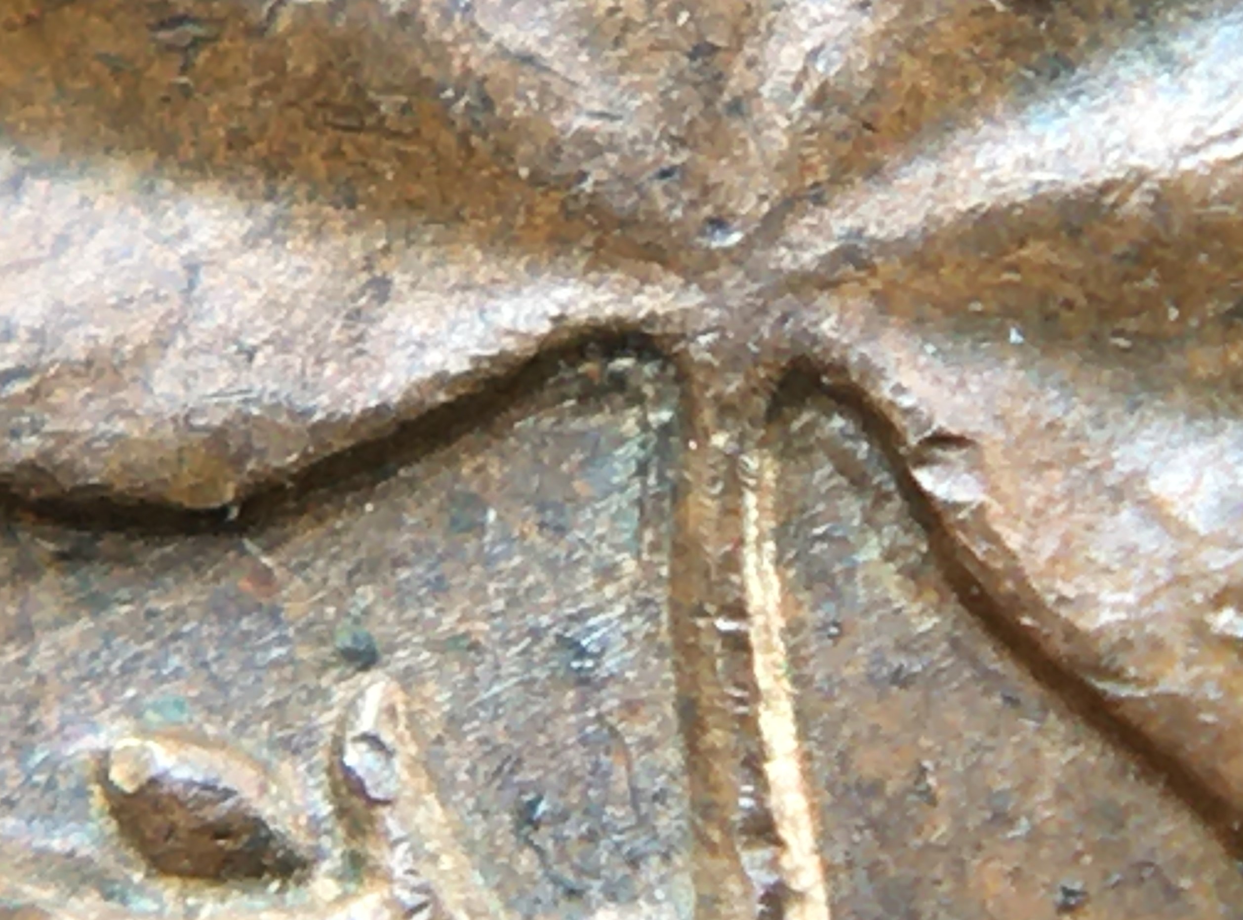 1 cent 1952 tige over polished.jpg