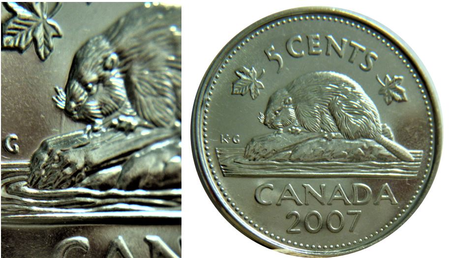 5 Cents 2007-Défaut de laminage bout du nez du castor-1.JPG