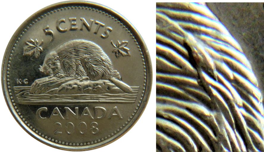 5 Cents 2008-Éclat coin sur le derrière du castor-,1.JPG