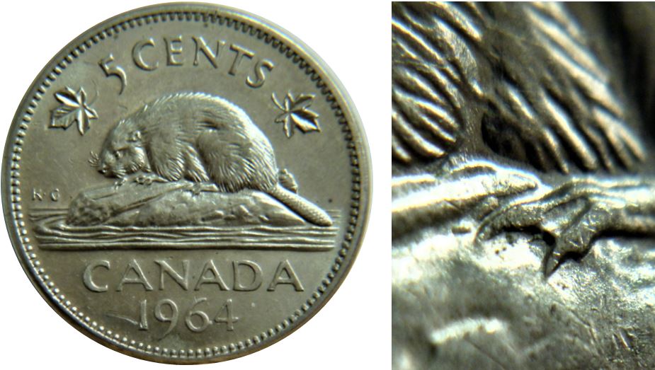 5 Cents 1964-Éclat coin au dessus de la griffe patte arrière-1.JPG