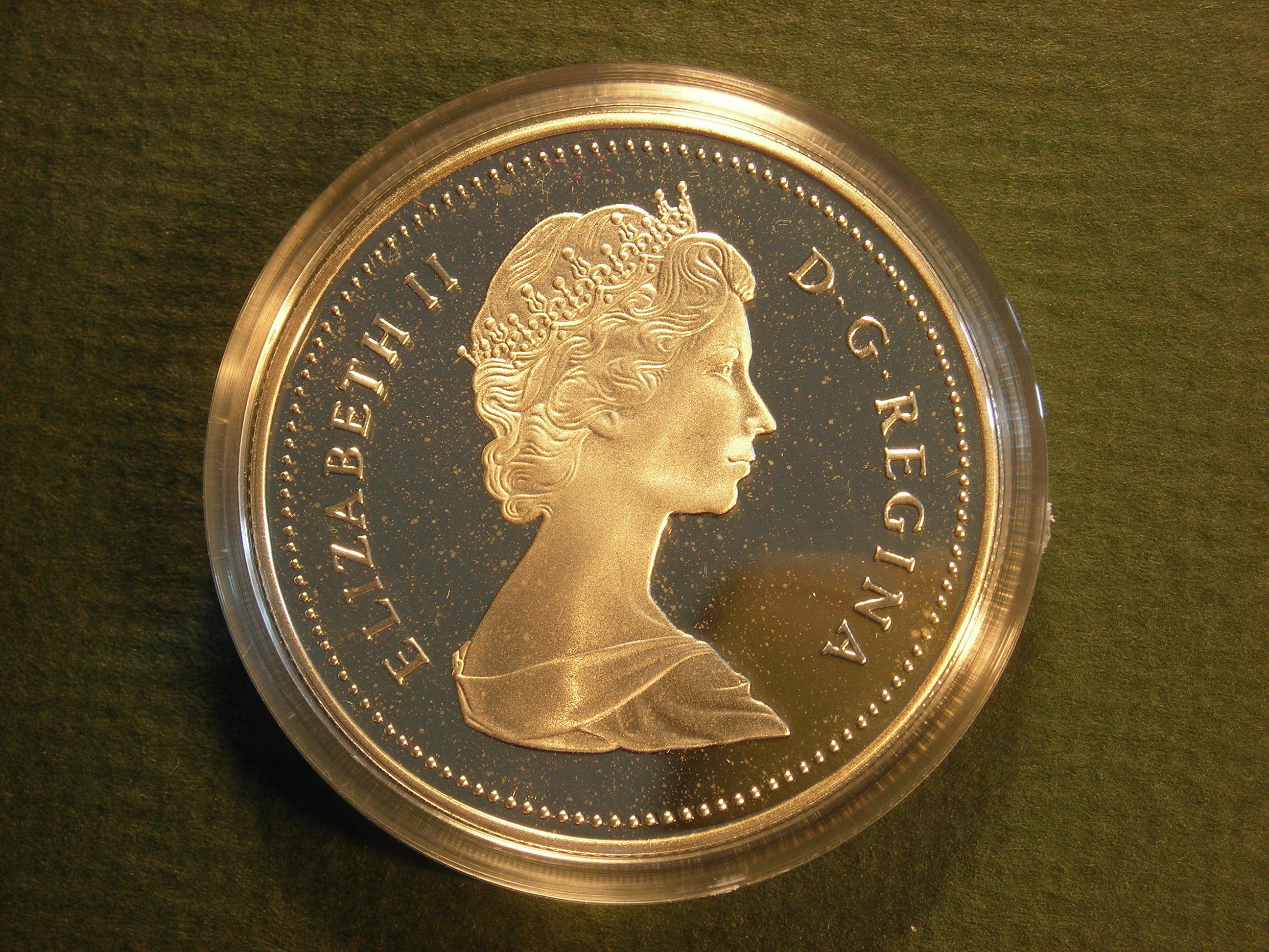 DSCN9137.JPG