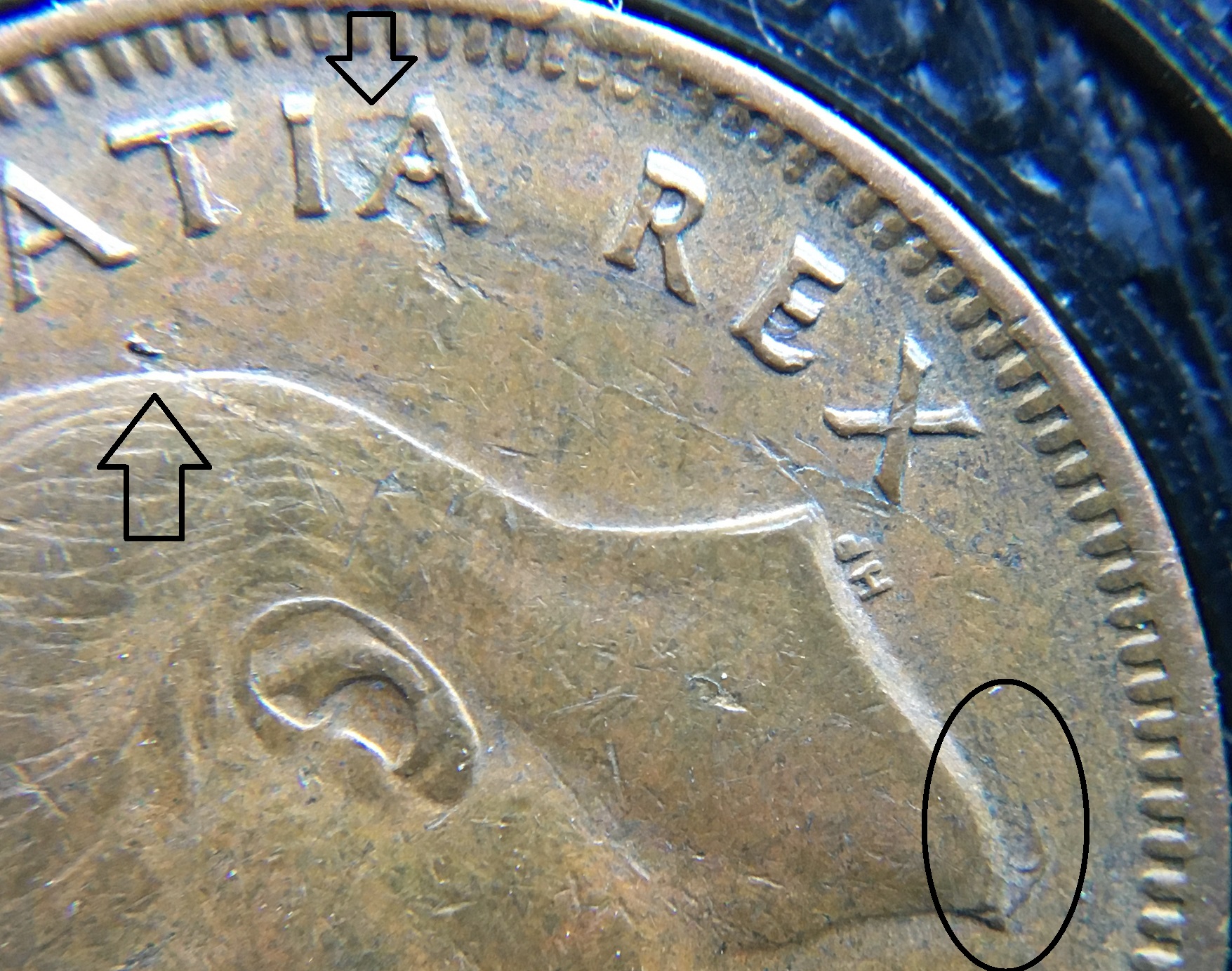 1 cent 1949 double GRATIA et délamination 50 et flèches.jpg