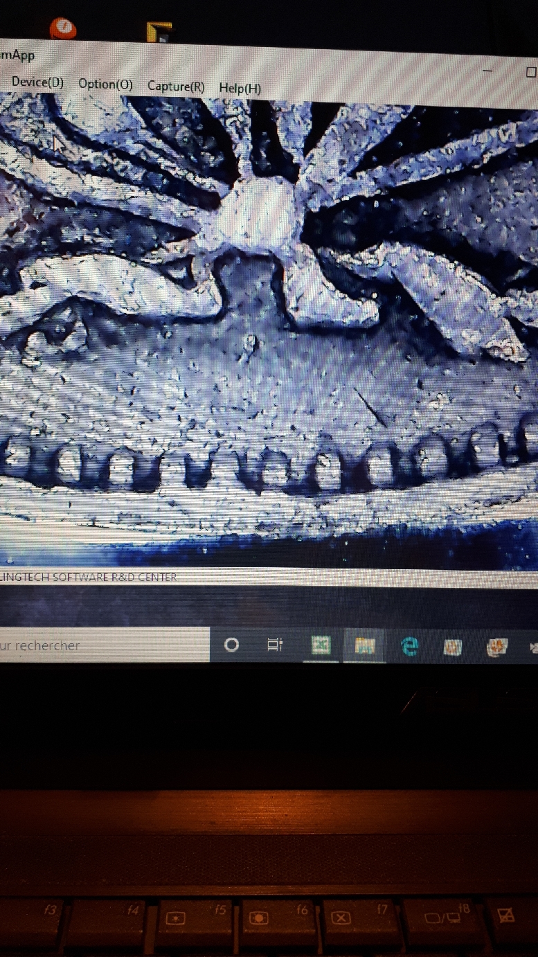 compressed_125164665320220722_193730.jpg
