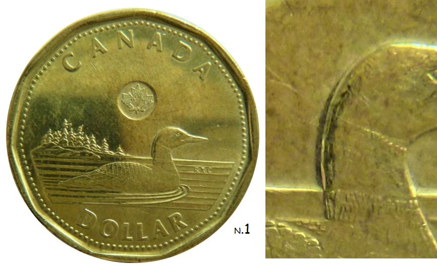 1 Dollar 2021-Éclat coin dans rR de rRc et sur l'harbre+bizare le cou l'oiseau-2.JPG