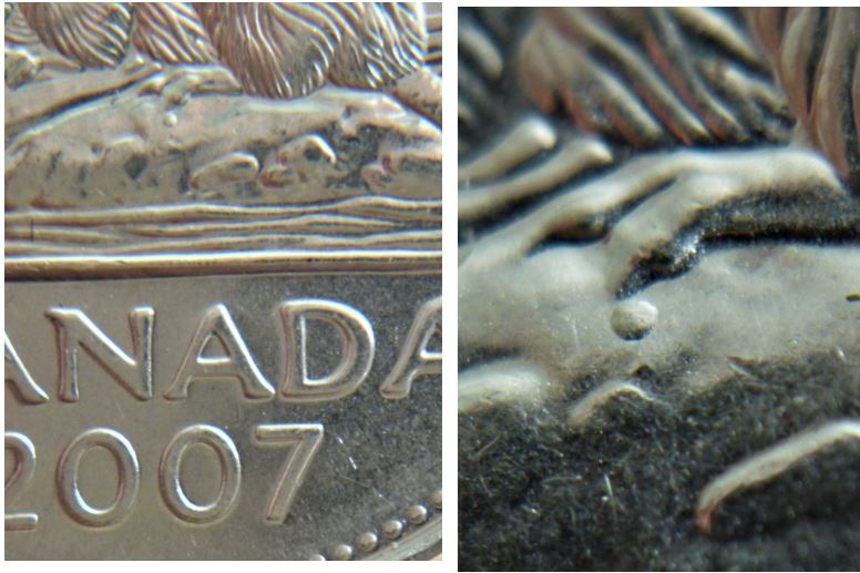 5 Cents 2007-Point sous la patte arière-3.JPG