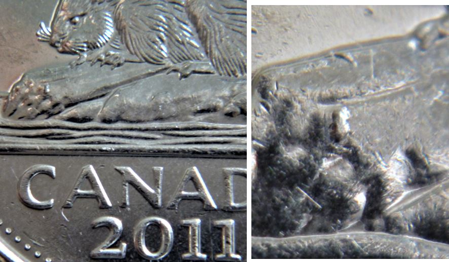 5 Cents 2011-Éclat du coin au bout de la buche.JPG