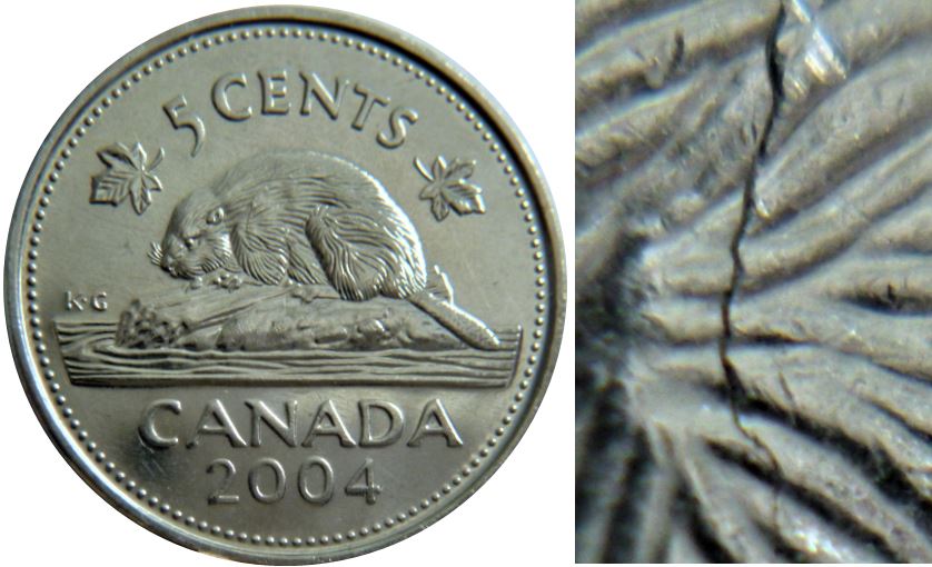5 Cents 2004-Coin fendillé sur toute l'épaule du castor-1.JPG