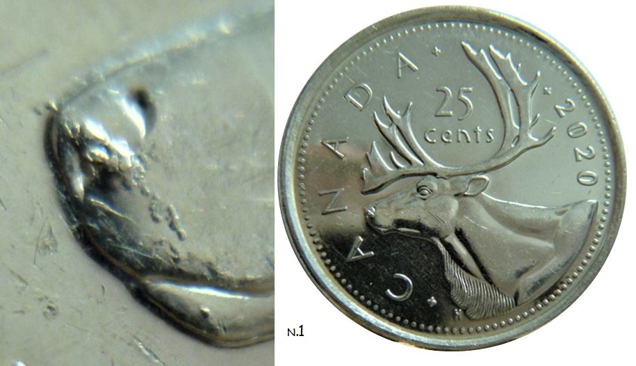 25 Cents 2020-Accumulation sur le nez du caribou-1.JPG