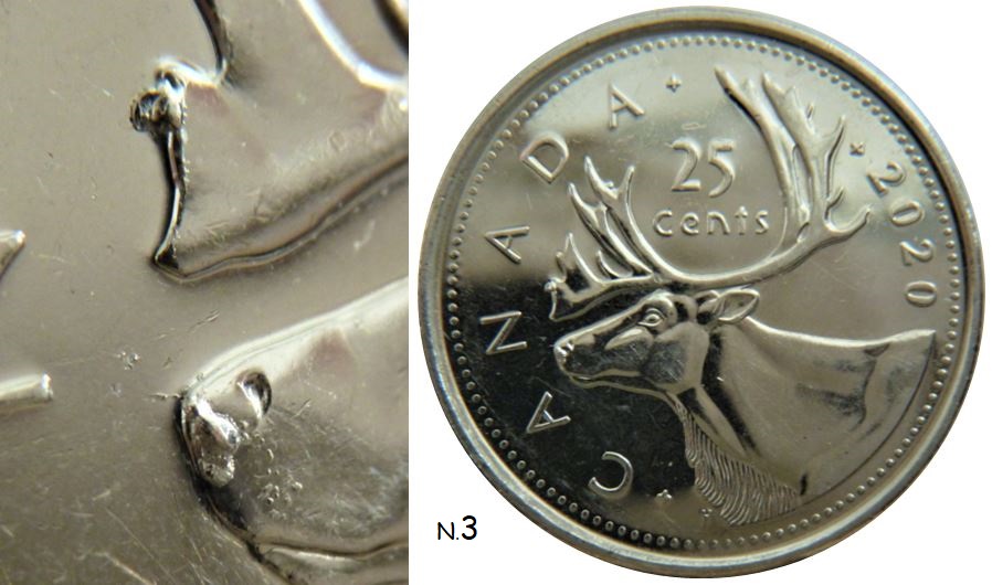 25 Cents 2020-Accumulation sur le nez et le bois avent du caribou-1.JPG