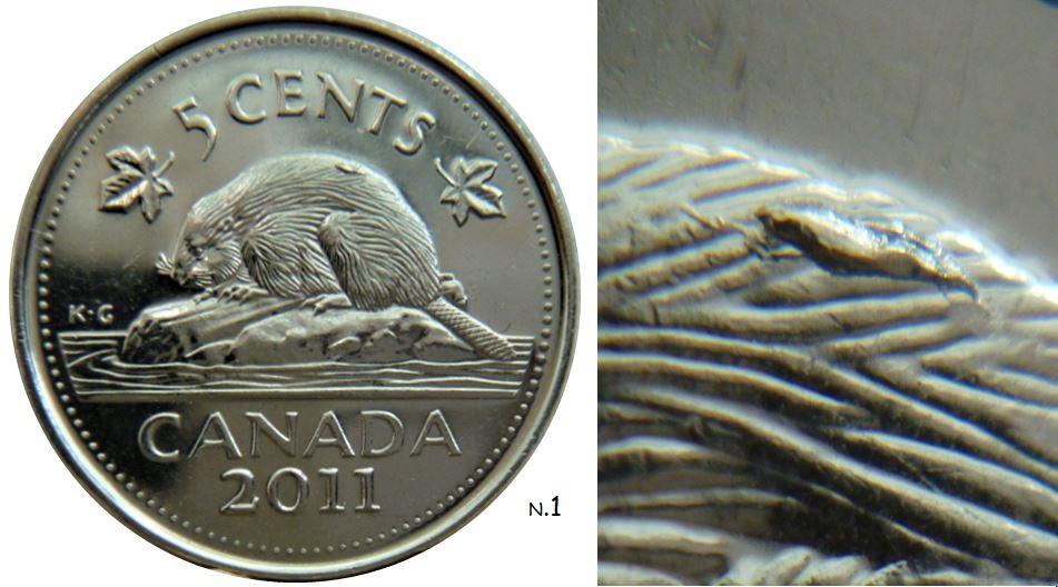 5 Cents 2011-Éclat du coin sur le dos du castor-,1.JPG