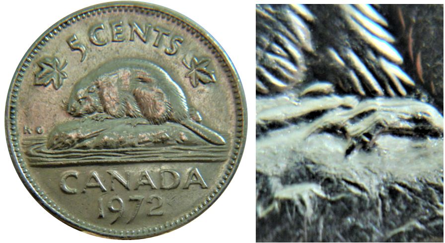 5 Cents 1972-Un éclat coin sous l'abdomen-1.JPG