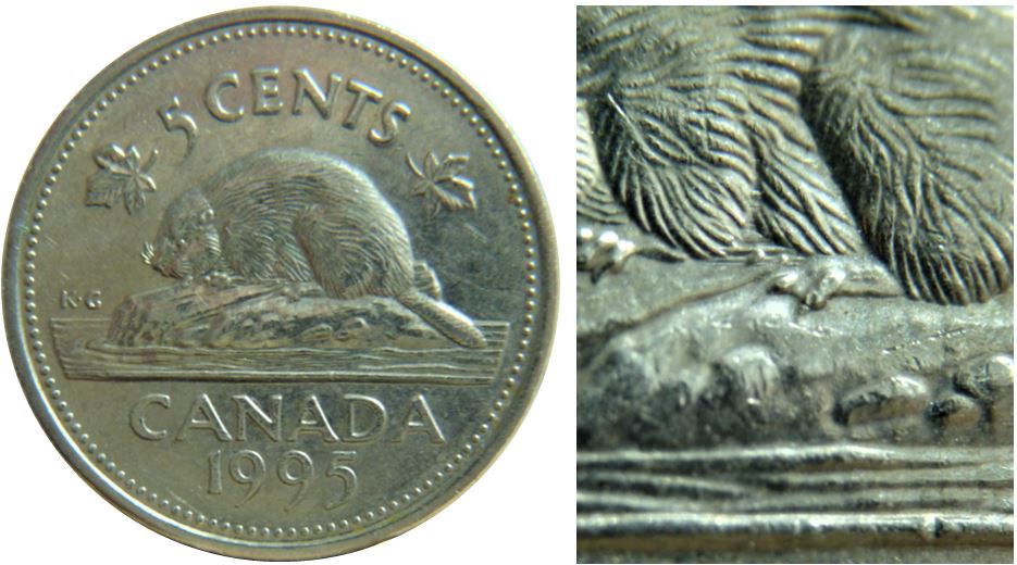 5 Cents 1995-Dommage du coin sous abdomen du castor-1.JPG