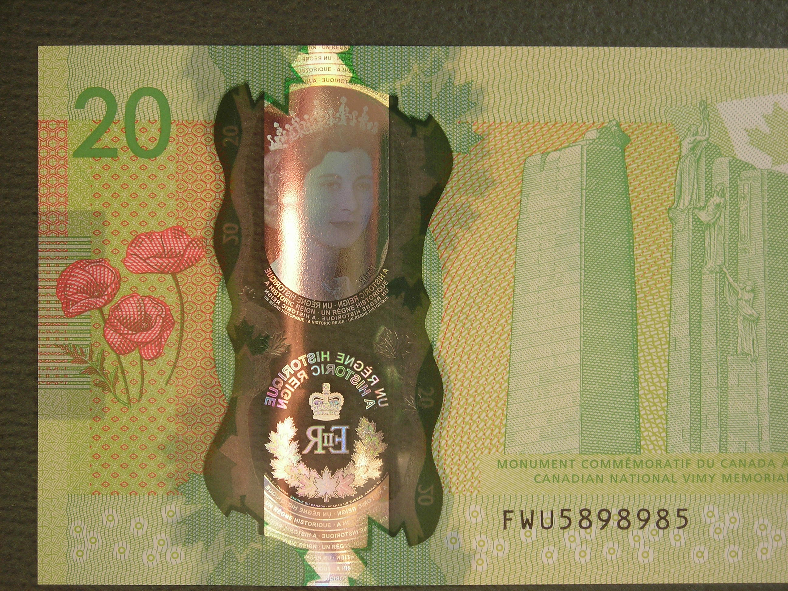 DSCN9406.JPG
