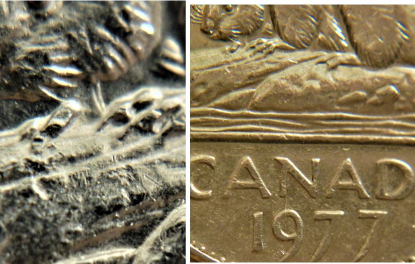5 Cents 1977H-Coin entrechoqué double sous menton du castor-,3.JPG